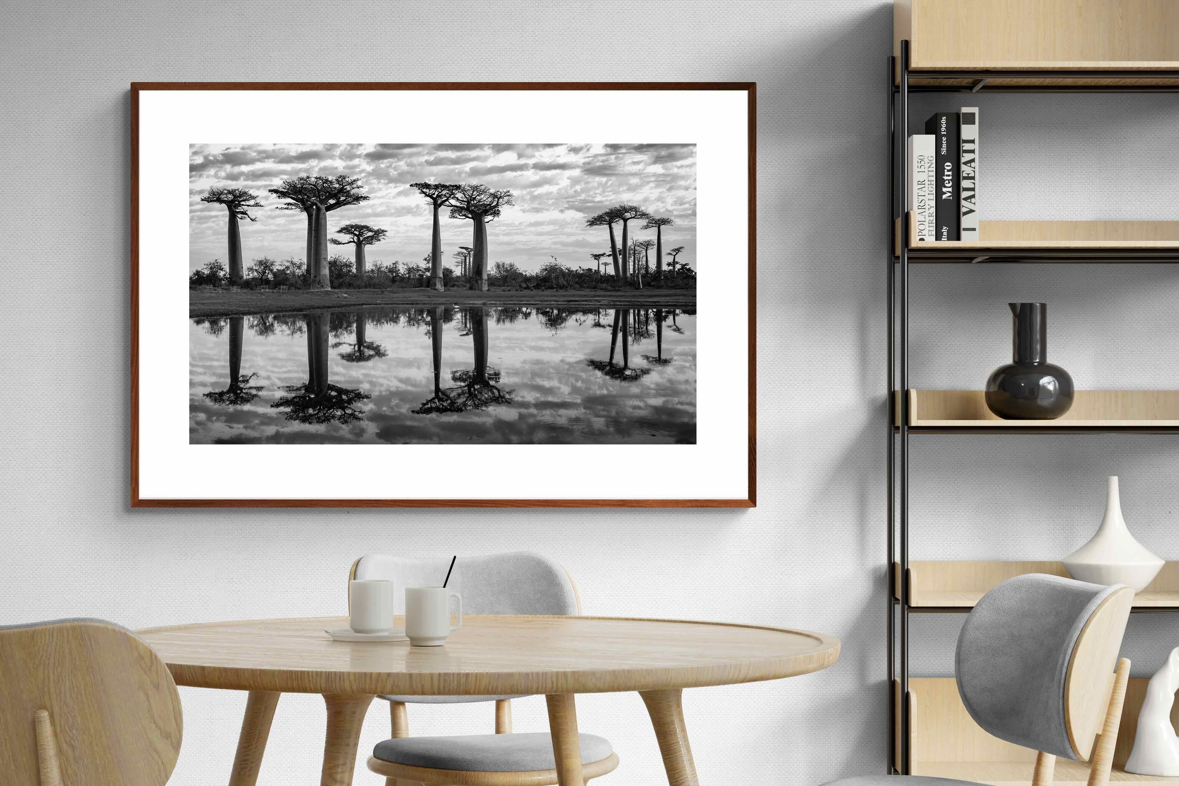 Pixalot ® Baobab Trees