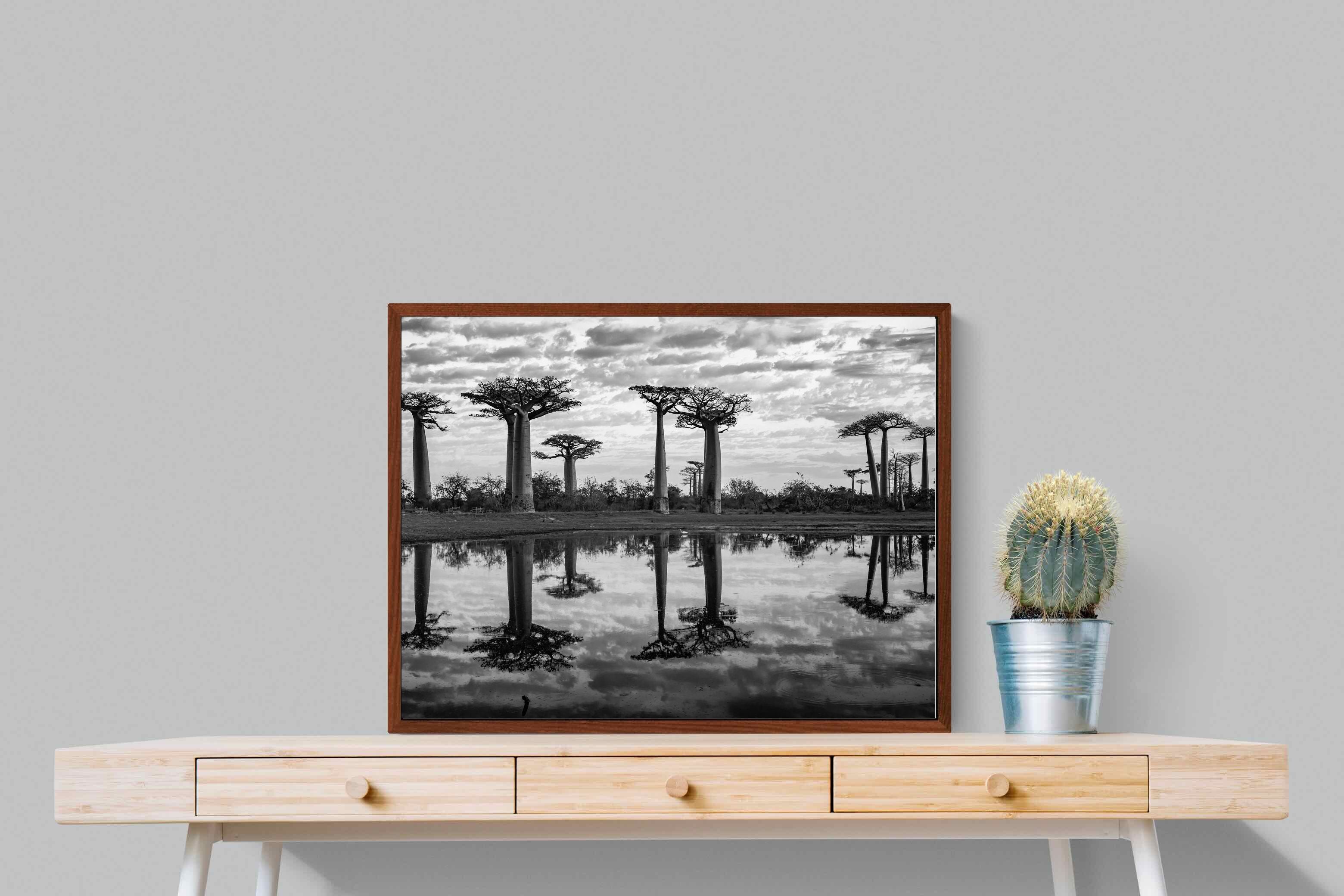 Pixalot ® Baobab Trees