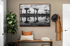 Pixalot ® Baobab Trees