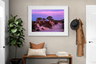 Pixalot ® Baobab Twilight