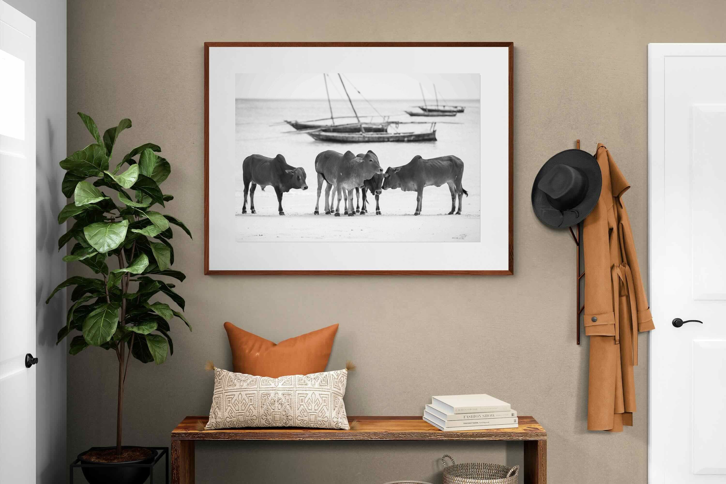 Pixalot ® Beach Cattle