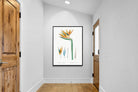 Pixalot ® Bird of Paradise Vintage Illustration