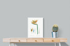 Pixalot ® Bird of Paradise Vintage Illustration