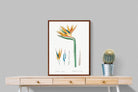Pixalot ® Bird of Paradise Vintage Illustration