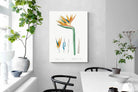 Pixalot ® Bird of Paradise Vintage Illustration