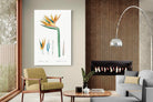 Pixalot ® Bird of Paradise Vintage Illustration
