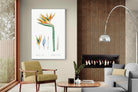 Pixalot ® Bird of Paradise Vintage Illustration