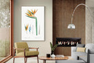 Pixalot ® Bird of Paradise Vintage Illustration
