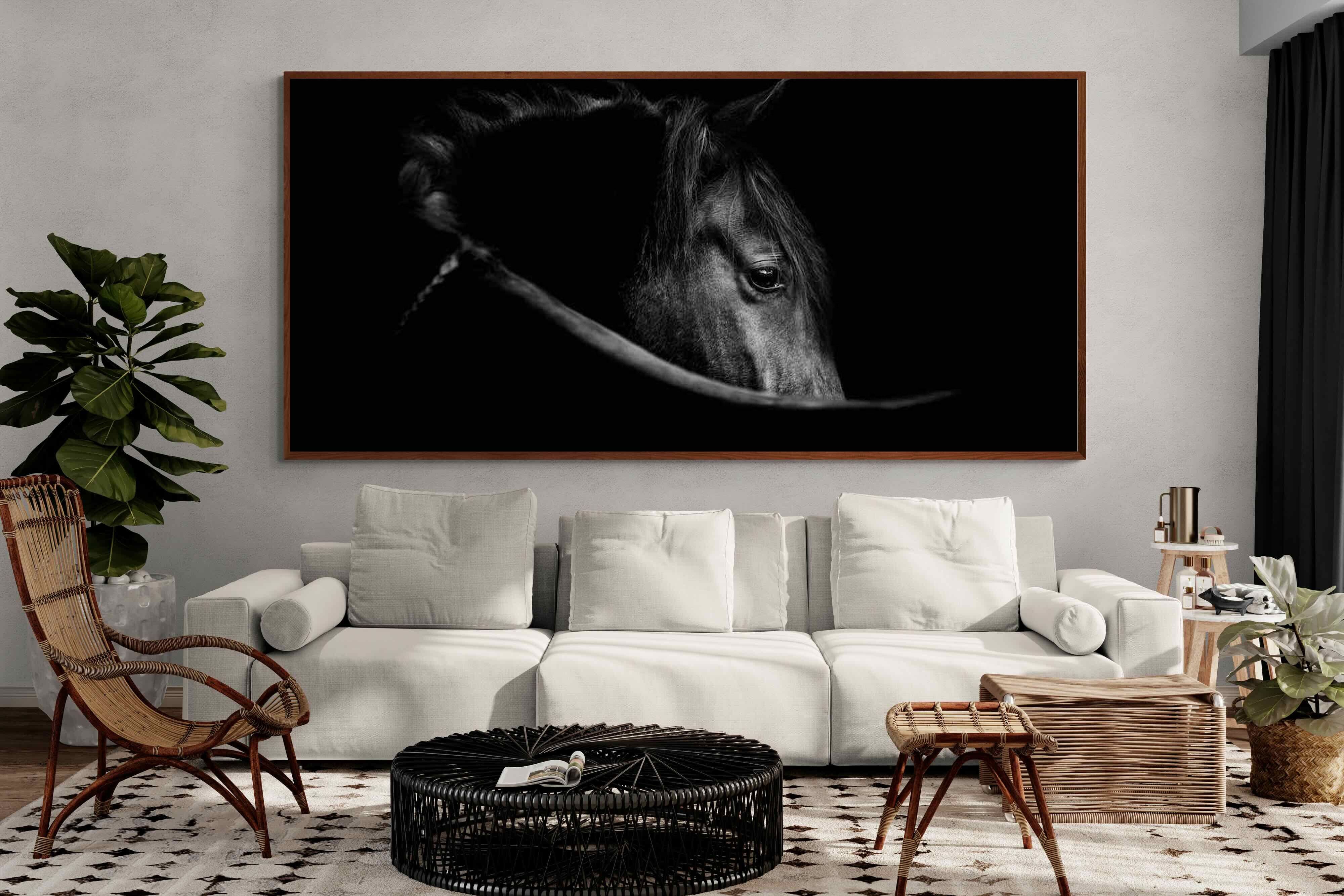 Pixalot ® Black Beauty