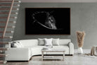 Pixalot ® Black Beauty