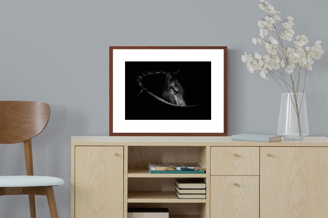 Pixalot ® Black Beauty