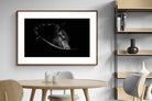 Pixalot ® Black Beauty