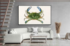 Pixalot ® Blue Crab Illustration
