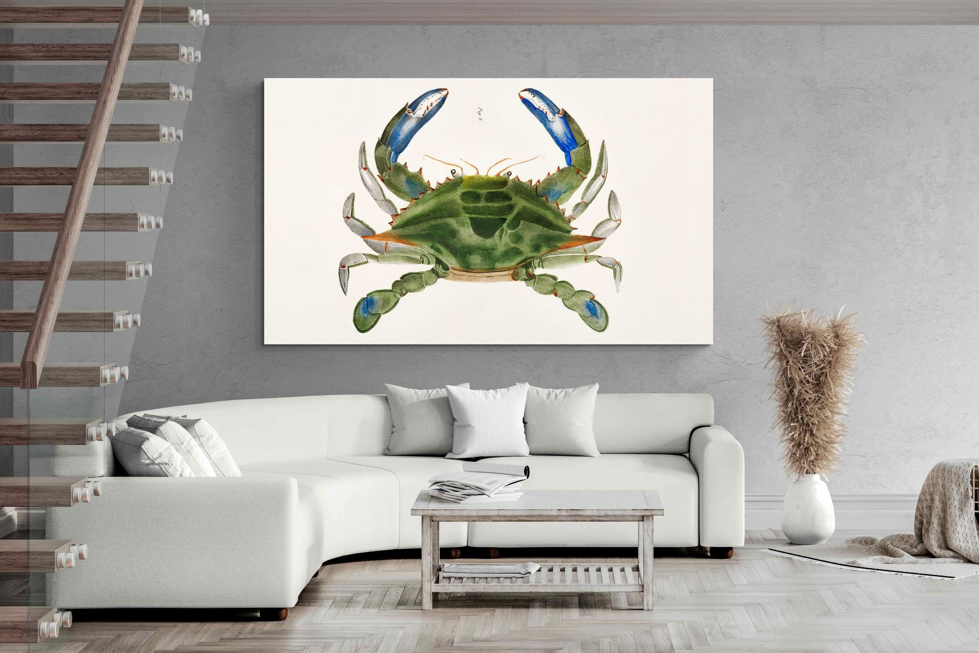 Pixalot ® Blue Crab Illustration