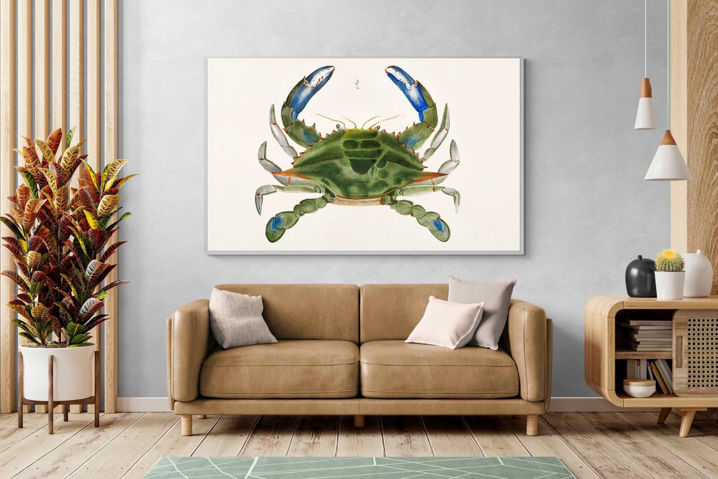 Pixalot ® Blue Crab Illustration
