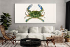 Pixalot ® Blue Crab Illustration