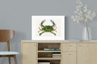 Pixalot ® Blue Crab Illustration