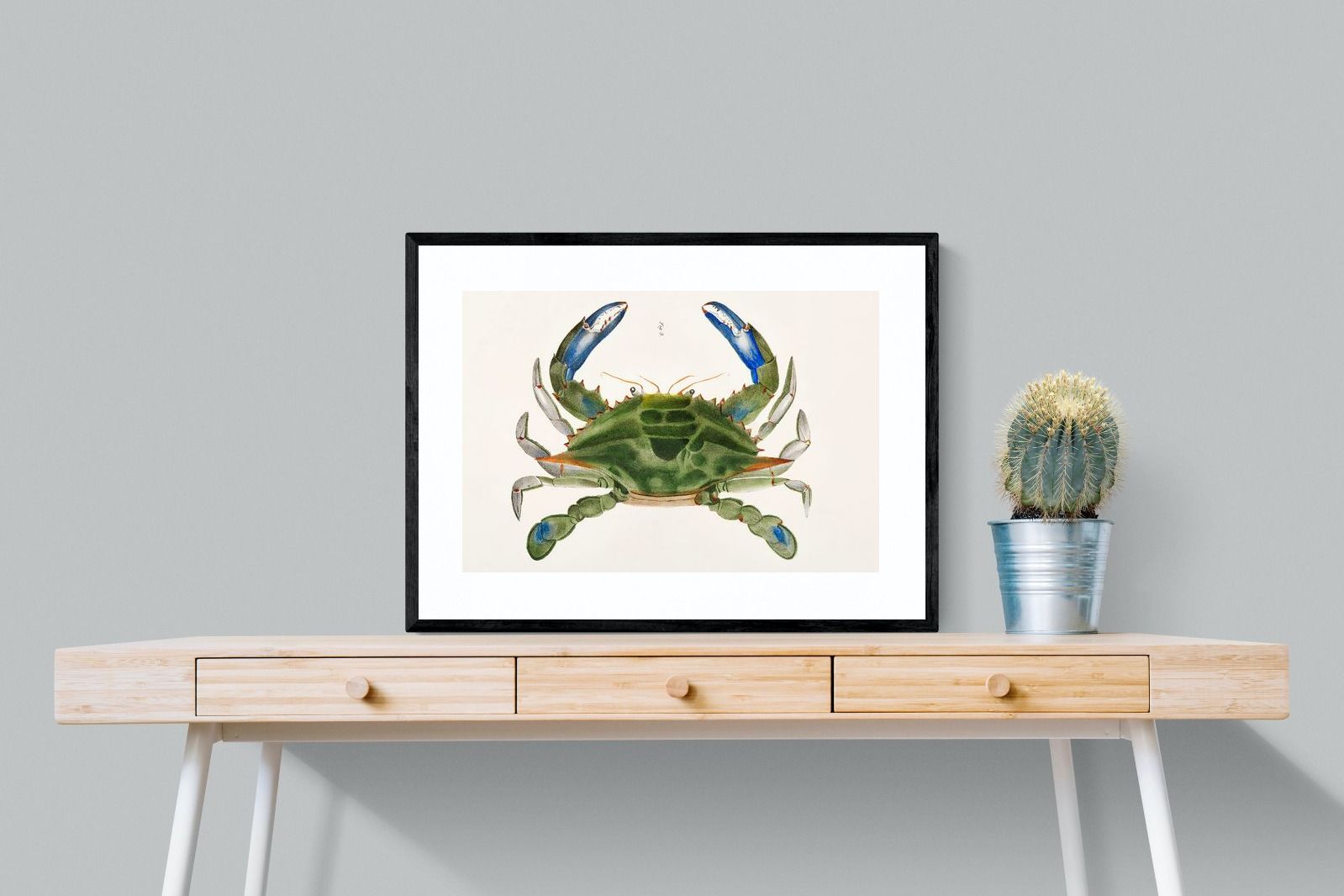 Pixalot ® Blue Crab Illustration