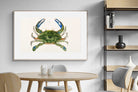Pixalot ® Blue Crab Illustration