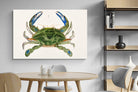 Pixalot ® Blue Crab Illustration