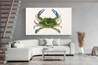 Pixalot ® Blue Crab Illustration