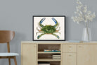 Pixalot ® Blue Crab Illustration