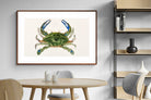 Pixalot ® Blue Crab Illustration