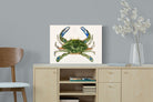 Pixalot ® Blue Crab Illustration
