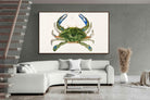 Pixalot ® Blue Crab Illustration