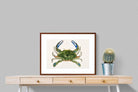 Pixalot ® Blue Crab Illustration