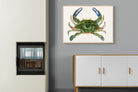 Pixalot ® Blue Crab Illustration