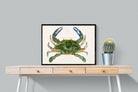 Pixalot ® Blue Crab Illustration