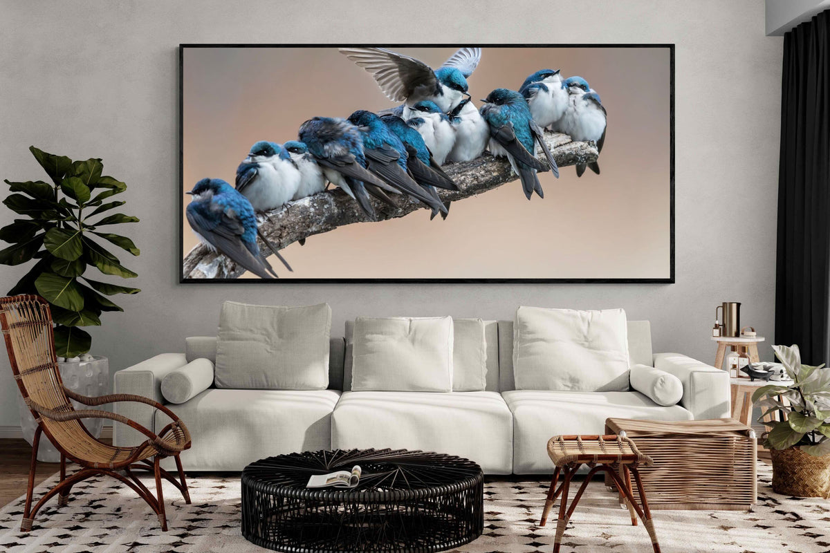 Pixalot ® Blue Gathering