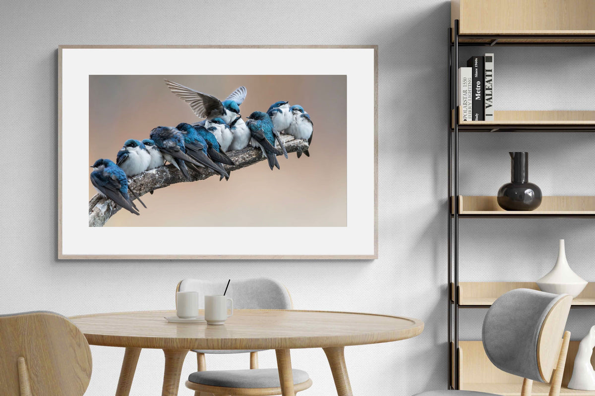 Pixalot ® Blue Gathering
