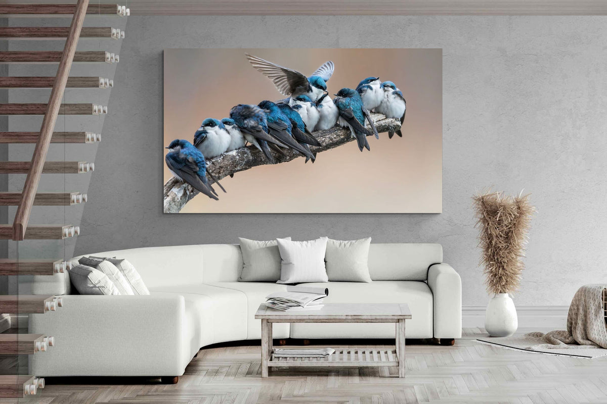 Pixalot ® Blue Gathering