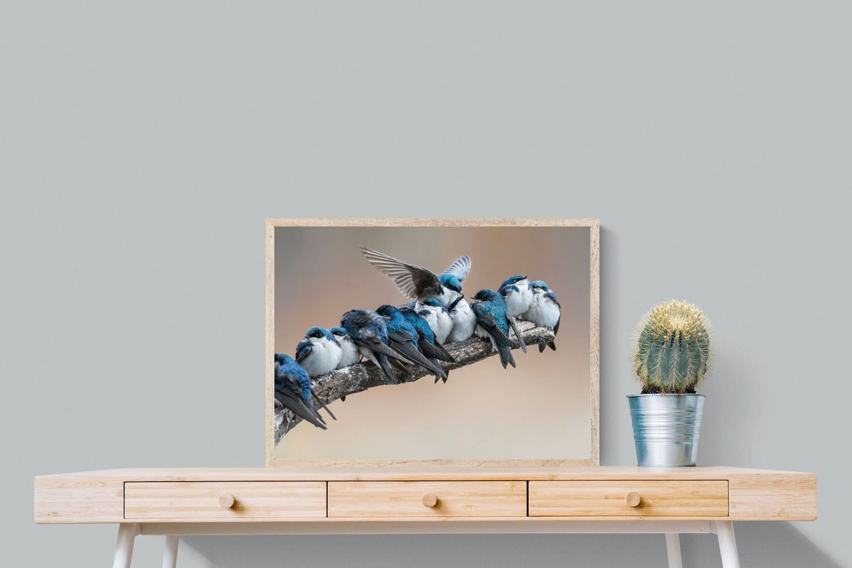 Pixalot ® Blue Gathering