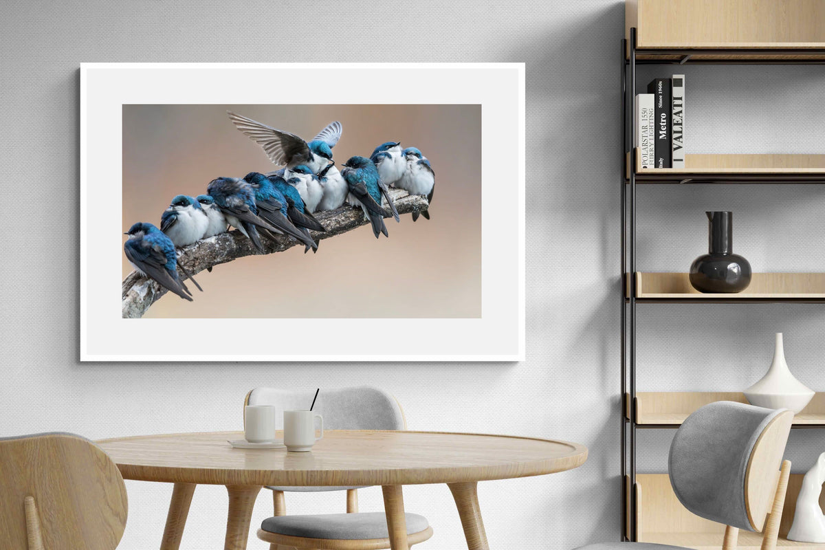 Pixalot ® Blue Gathering