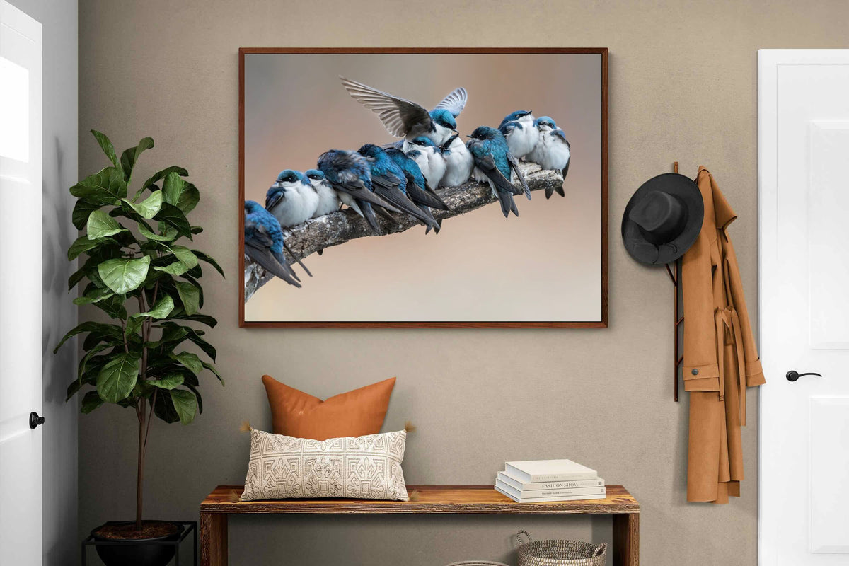 Pixalot ® Blue Gathering