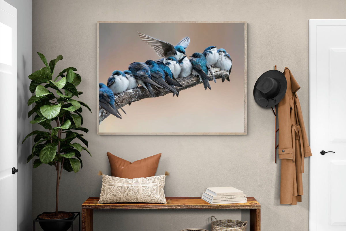 Pixalot ® Blue Gathering