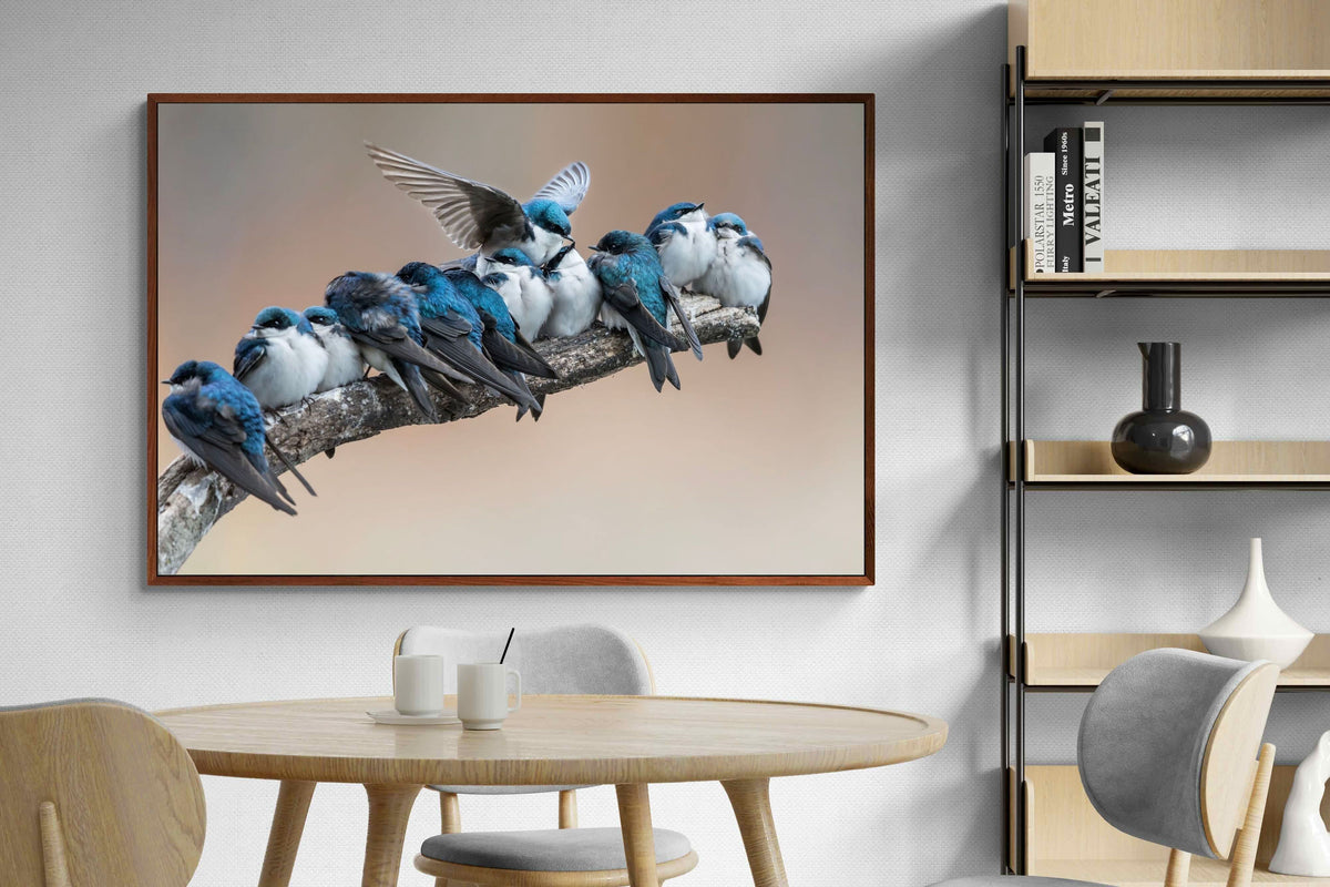 Pixalot ® Blue Gathering