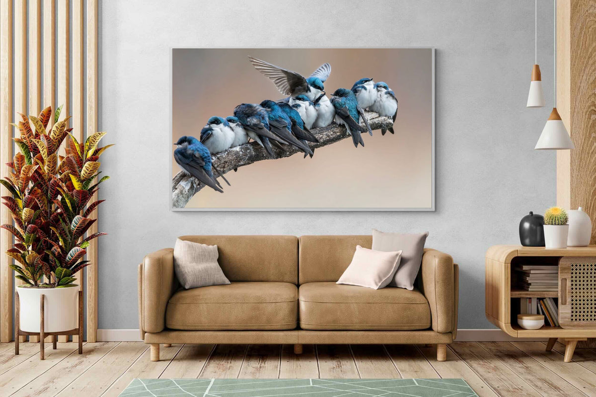 Pixalot ® Blue Gathering