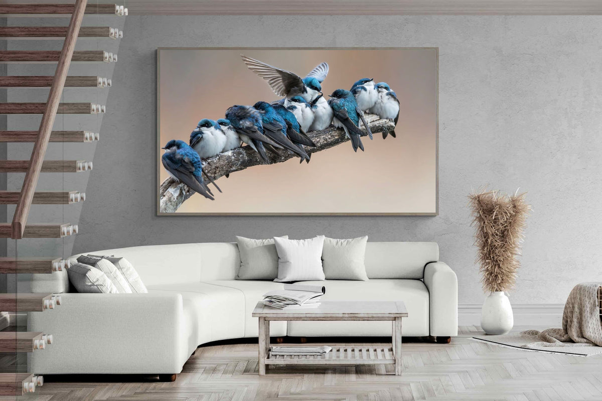 Pixalot ® Blue Gathering