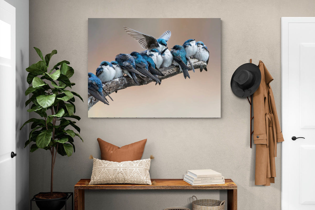 Pixalot ® Blue Gathering