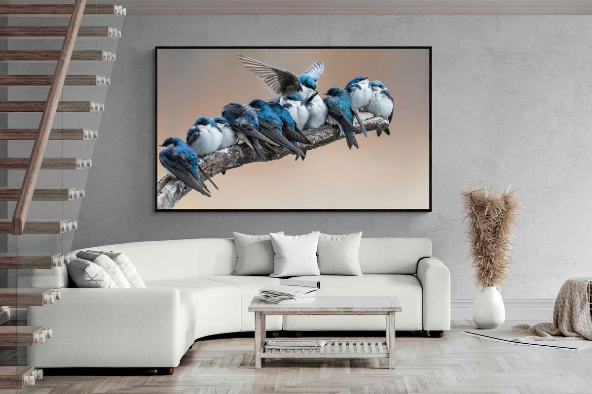 Pixalot ® Blue Gathering