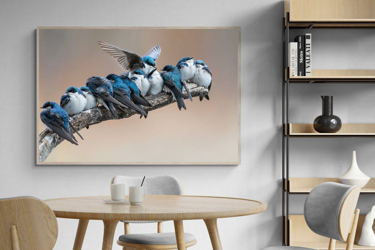 Pixalot ® Blue Gathering