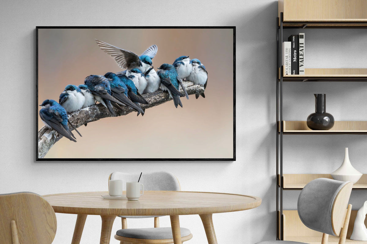Pixalot ® Blue Gathering