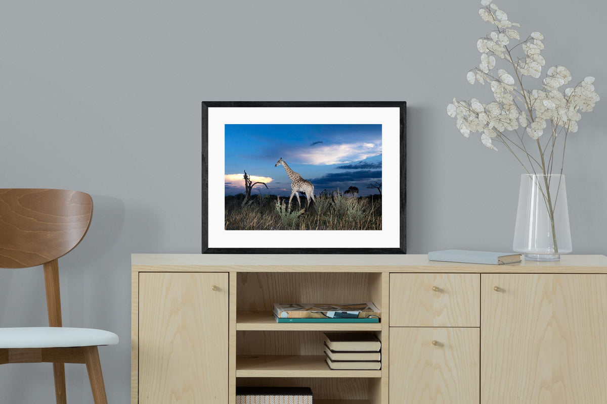 Pixalot ® Blue Hour Giraffe