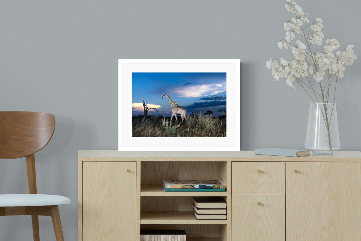 Pixalot ® Blue Hour Giraffe