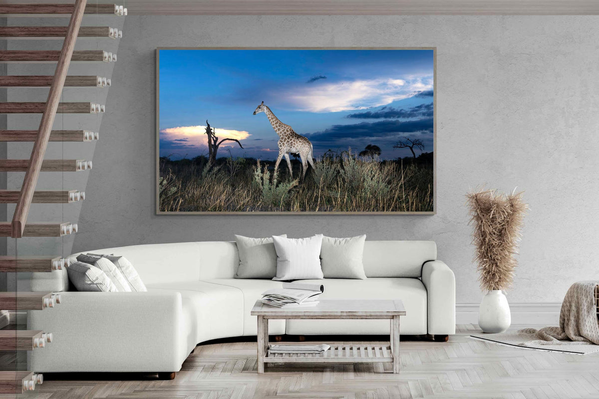 Pixalot ® Blue Hour Giraffe