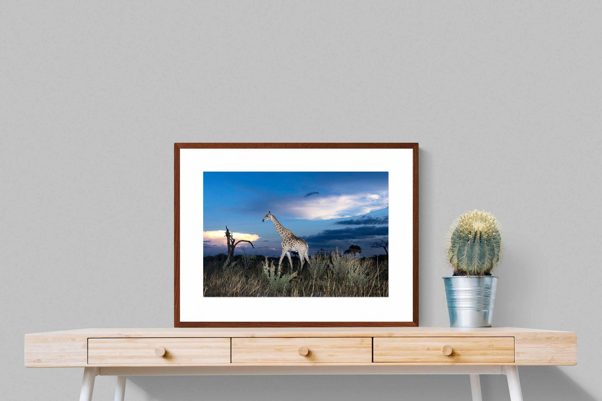 Pixalot ® Blue Hour Giraffe